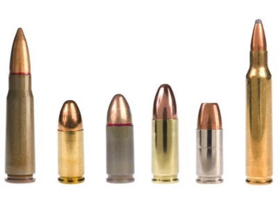 Carolina Custom Ammunition and Reloading Auction