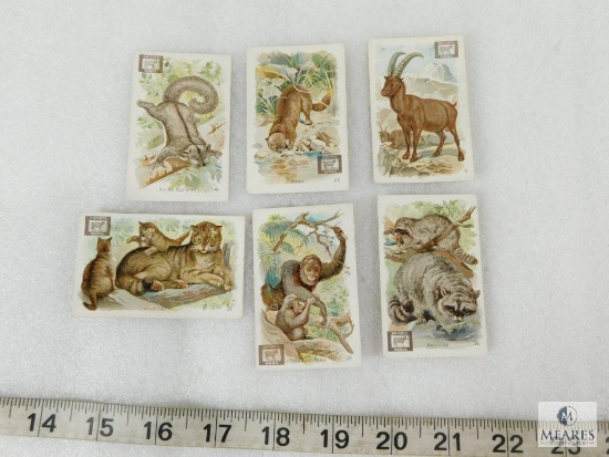1890's Dwight's Soda Insert Cards Animals in Great Condition