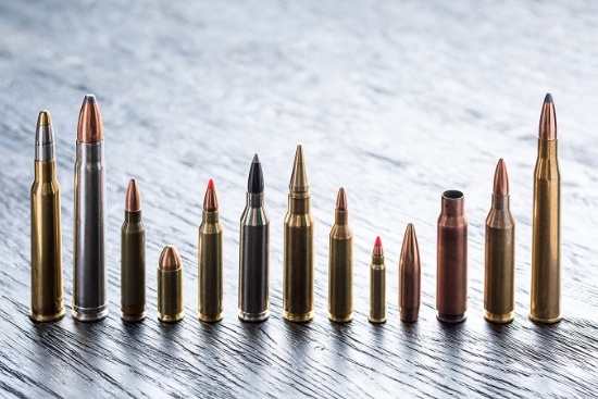 Late August 2023 Firearms & Ammunition Auction