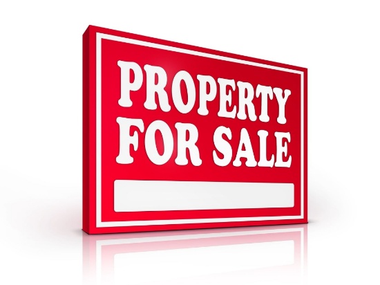 Multi-Property Online Real Estate Auction