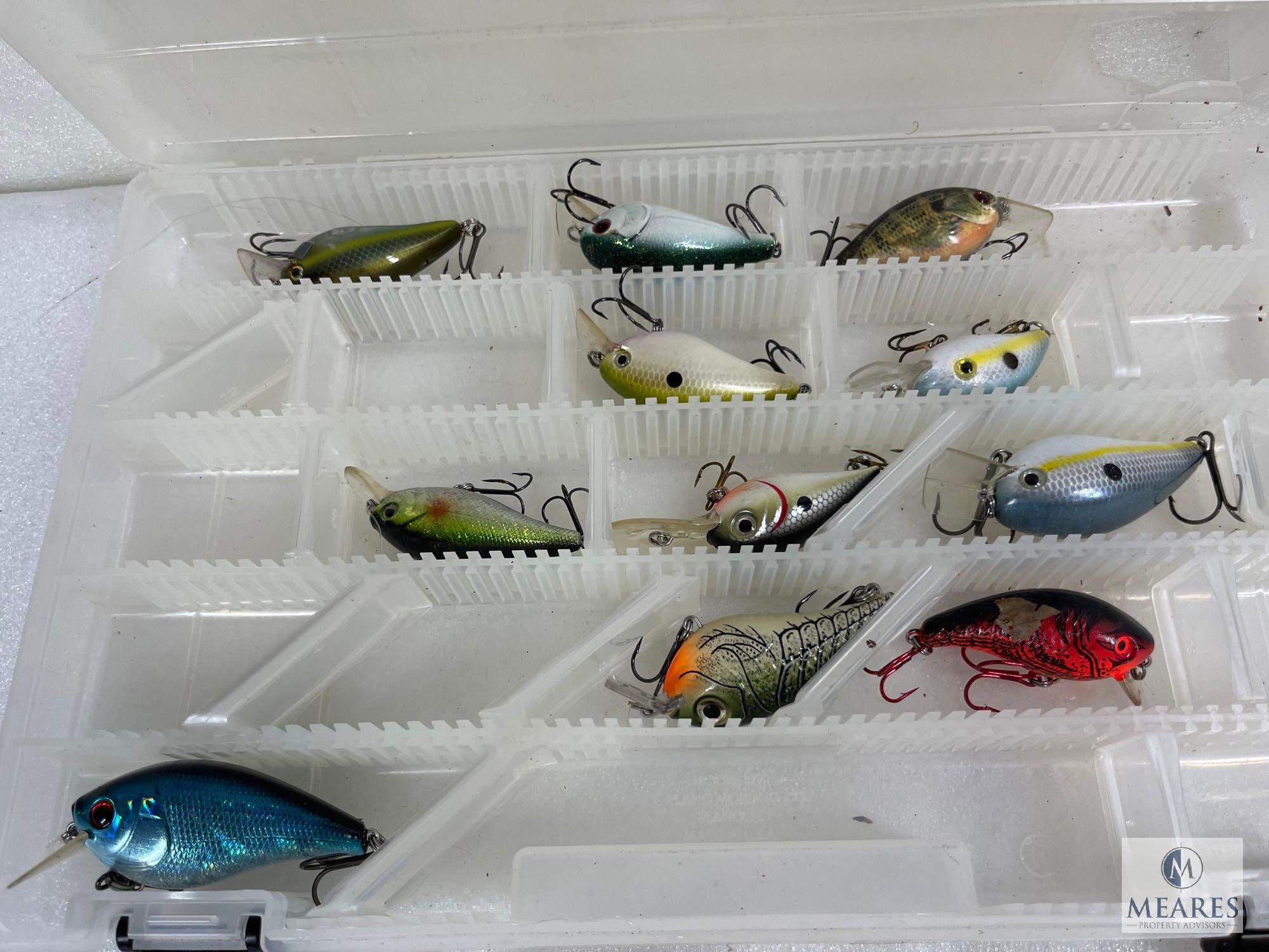 Three Cases with Large Assortment of Fishing