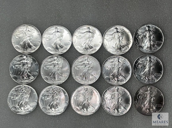 Group of 15: 1993 American Eagle Silver Dollars