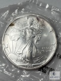 1995 American Eagle Silver Dollar, UNC-60