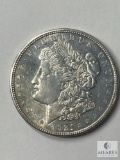 1921 Morgan Dollar