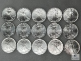 Group of 15: 1995 American Eagle Silver Dollars