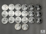 Group of 20: 1996 American Silver Eagle, One Oz. Fine Silver One Dollar