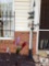 Weathervane and Colored Decorative Bottles