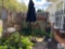 Large Lot of Outside Garden/Decorative Items