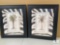 Two Framed Zebra Print and Palm Tree Prints