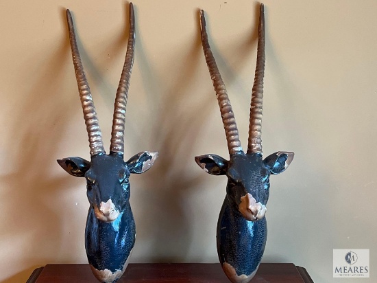 Set of Wall Antelope - 25 Inches Tall