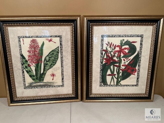 17 x 21 Floral Zebra I and II - Bombay Framed Floral Prints