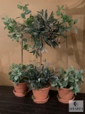Three Topiaries - 27 Inches Tall