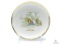 1910's Boy Scout Advertising Plate - 