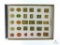 Framed Boy Scout Rank Patches - 1920's to 2020