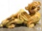 Impressive Carved Chinese Temple Dragon