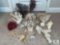 Lot of Shells, Coral, and Starfish