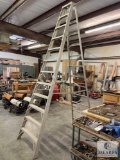 Werner Duty-Master Model 412 12-Foot A-Frame Ladder
