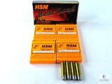 HSM .500 S&W 440 Gr. LBT-WFN Gas Check Bear Load - 19 Rounds