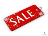 AUCTION INFORMATION - DO NOT BID ON THIS LOT