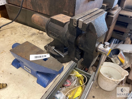 Bessey Vise and Central Forge Anvil