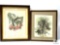 Framed Wildlife Prints - Mockingbird and Raccons
