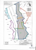 AUCTION INFORMATION