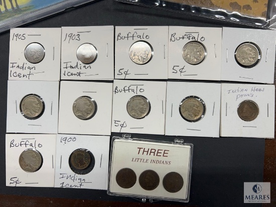 Mixed Lot of Buffalo Nickels and Indian Head Cents
