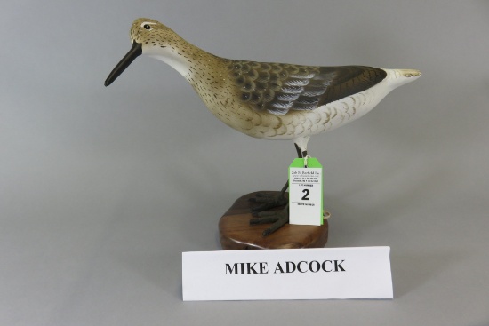 Mike Adcock Shorebird