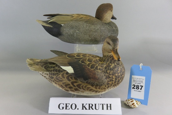 Pr. George Kruth Gadwalls