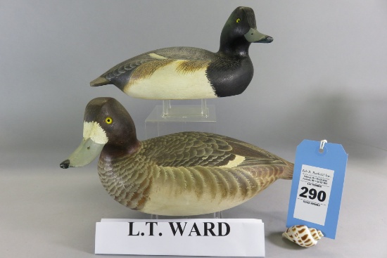 Pr. 1972 L. T. Ward Bluebills