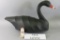 Nick Sapone Black Swan