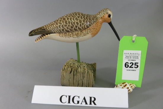 Cigar Daisey Dowitcher