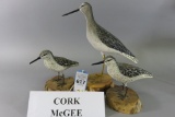 Cork McGee Shorebird Family