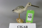 Cigar Daisey Yellowleg