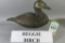 Reggie Birch Ruddy Duck
