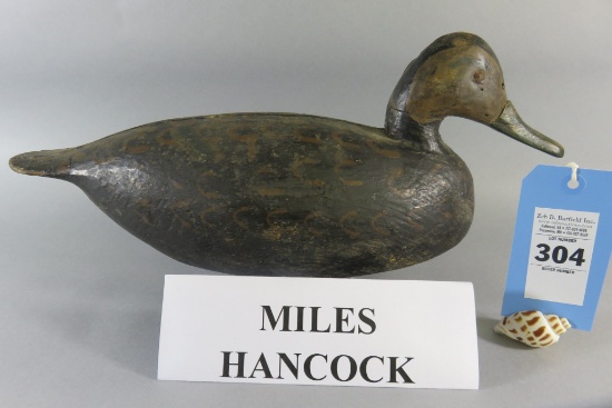 Miles Hancock Black Duck