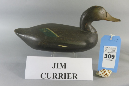 Jim Currier Black Duck