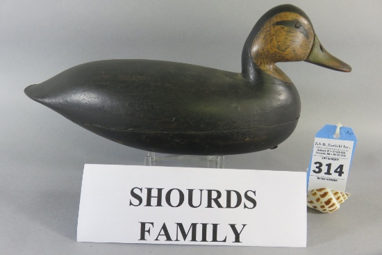 Shourds Family Black Duck