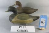 Pr. Paul Gibson Bluebills