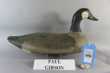 Paul Gibson Canada Goose