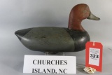Churches Island, NC Redhead