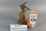 Ron Broadwater Songbird