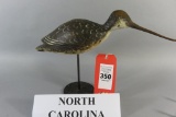 North Carolina Shorebird