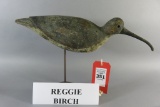 Reggie Birch Shorebird
