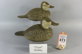 Pr. Cigar Daisey Ruddy Ducks
