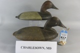 Pr. Canvasback Wing Ducks