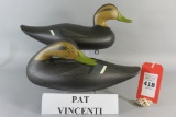 Pr. Pat Vincenti Black Ducks