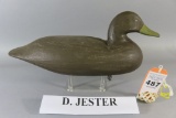 Doug Jester Black Duck