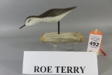 Roe Terry Shorebird