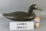 James Holly Black Duck